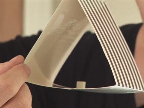 How to Banish Moths from Your Closet: Target Larvae First